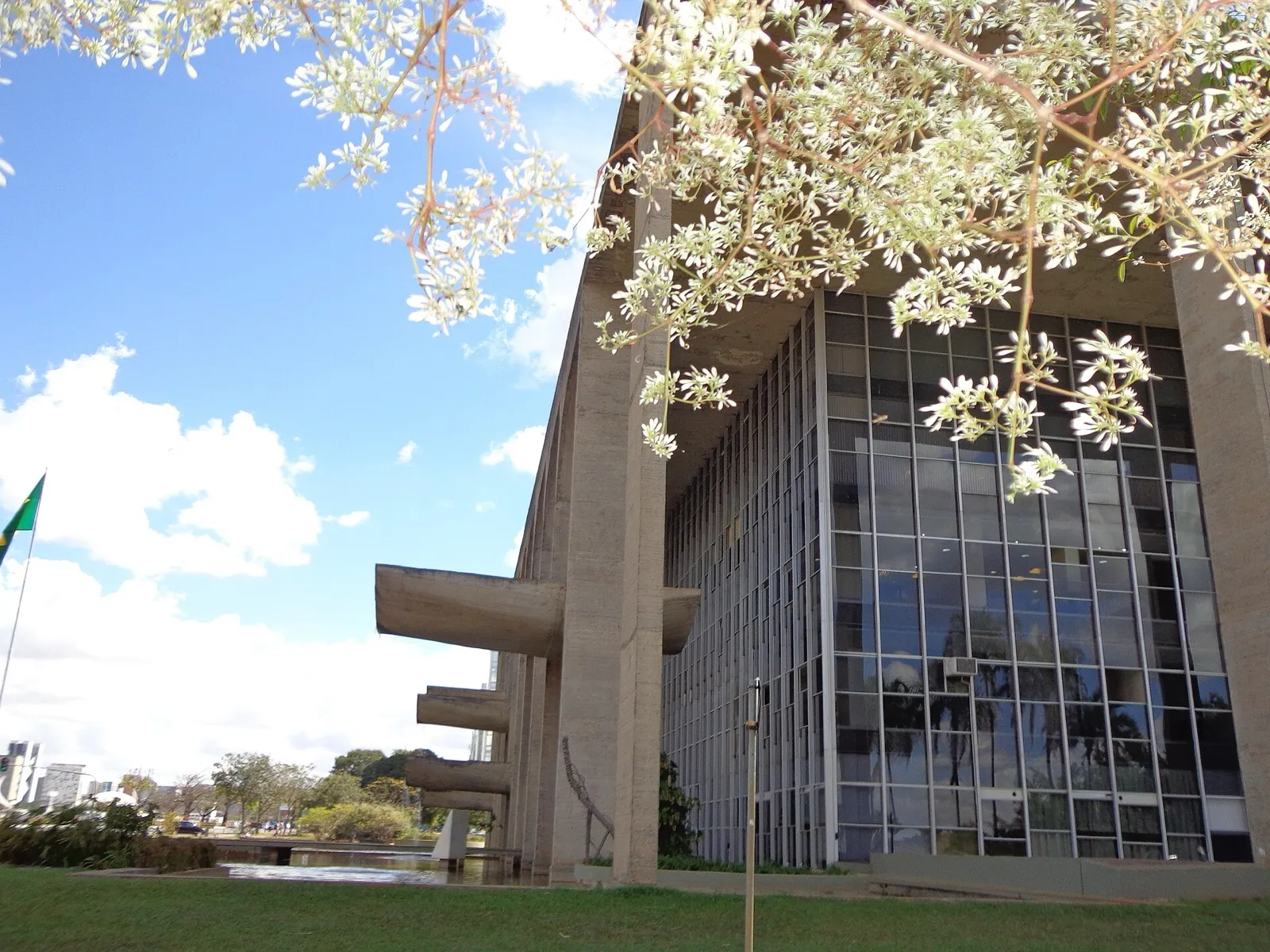 Fachada lateral de concreto e vidro do Palácio da Justiça, em Brasília, com balanços de concreto, bandeira do Brasil à esquerda e galhos com flores brancas no alto.